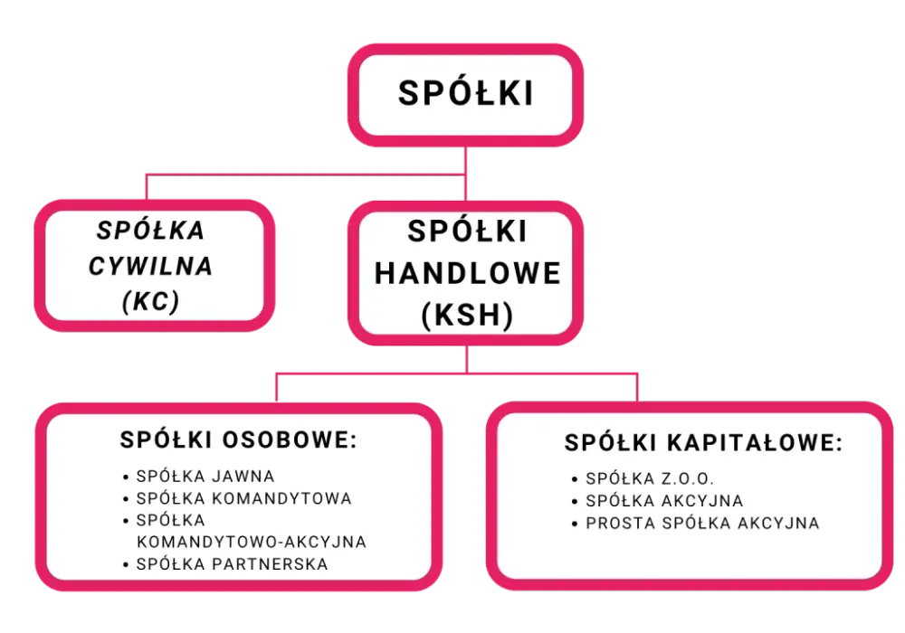 Jak działa spółka z o.o.? Kluczowe informacje o jej funkcjonowaniu