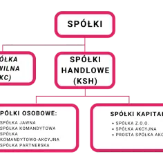 Jak działa spółka z o.o.? Kluczowe informacje o jej funkcjonowaniu