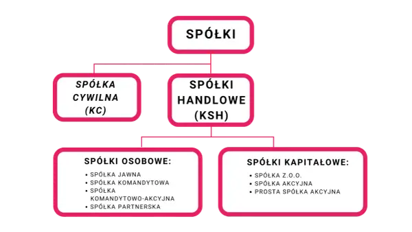 Jak działa spółka z o.o.? Kluczowe informacje o jej funkcjonowaniu